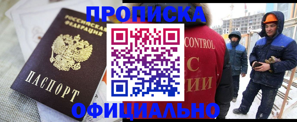 найти адрес прописки в Камышине