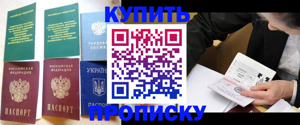 прописка для школы в Камышине